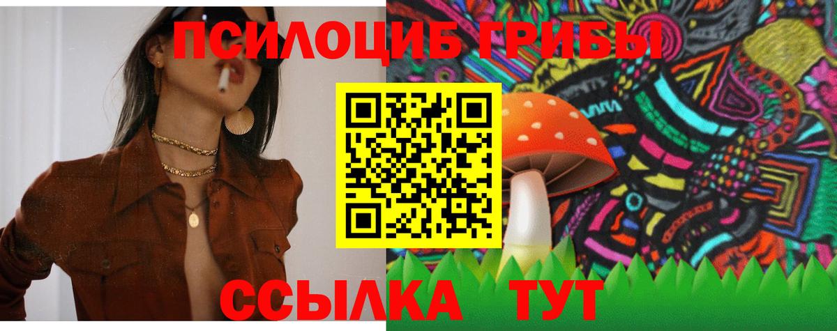 Зеленокумск  Псилоцибиновые грибы Psilocybe  Вход с VPN 