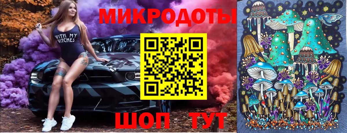 Галлюциногенные грибы Psilocybine cubensis Зеленокумск